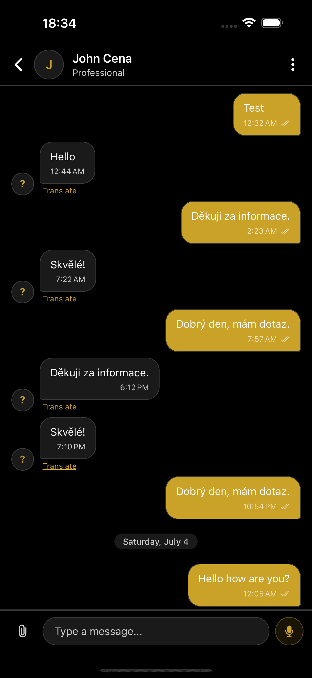 Translated chat